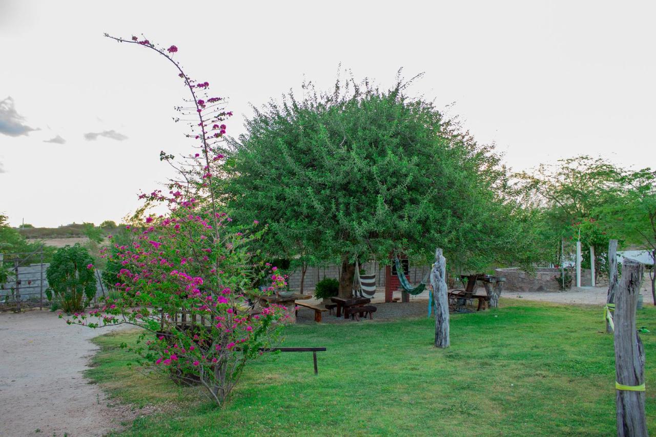 Sao Francisco Hotel *